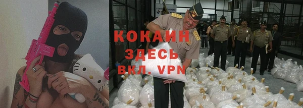 крисы Алзамай