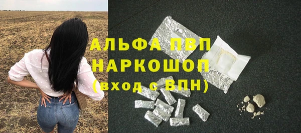 крисы Алзамай